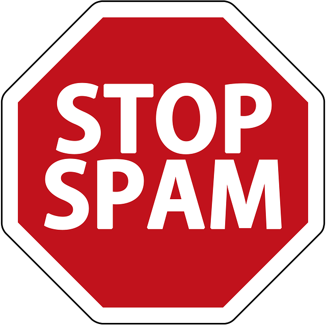 No SPAM!